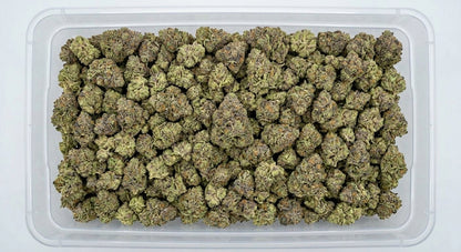 Cake Berry CBD Hemp Flower — Premium | Wholesale Bulk | 1 lb – 5 lbs — wholesale-bin