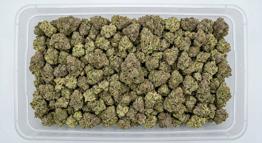 Cake Berry CBD Hemp Flower — Premium | Wholesale Bulk | 1 lb – 5 lbs — wholesale-bin