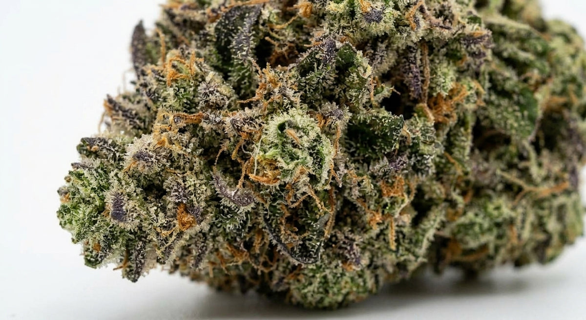 Cake Berry CBD Hemp Flower — Premium | Wholesale Bulk | 1 lb – 5 lbs — wholesale-closeup