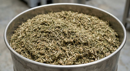 CBD Hemp Biomass — Wholesale | Extraction Grade | 10%+ CBD — wholesale-angle