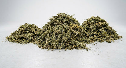 CBD Hemp Biomass — hangar