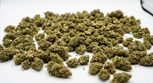 CBD Hemp Flower Smalls — Mixed Strain | Wholesale Bulk | 1 lb – 5 lbs — wholesale-hero