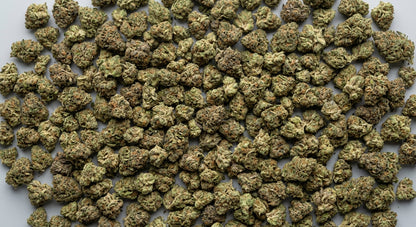 CBD Hemp Flower Smalls — Mixed Strain | Wholesale Bulk | 1 lb – 5 lbs — wholesale-spread