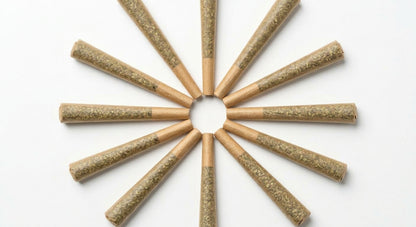 CBD Pre-Roll 10-Pack — fan