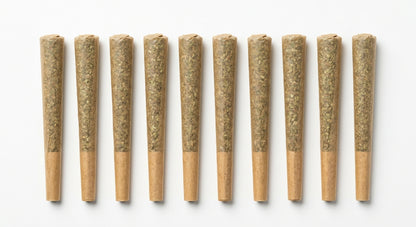 CBD Pre-Roll 10-Pack — hero