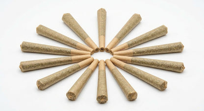CBD Pre-Roll 10-Pack — fan