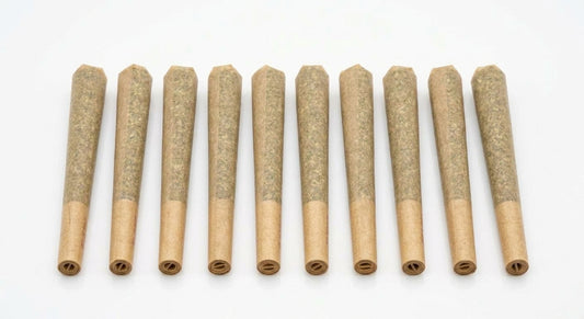 CBD Pre-Roll 10-Pack — hero