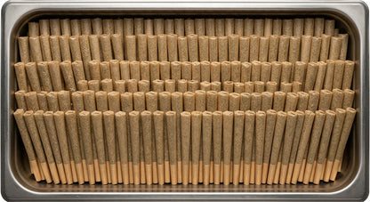 CBD Pre-Roll 100-Pack — hero