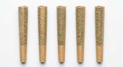CBD Pre-Roll 5-Pack — hero