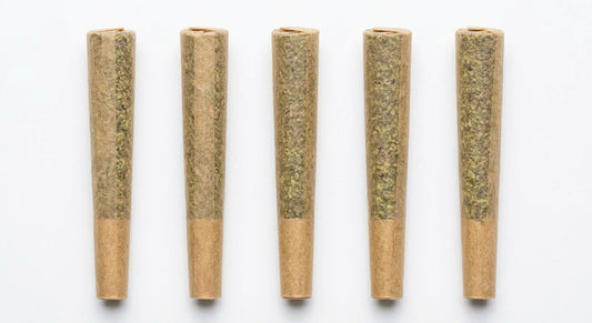 CBD Pre-Roll 5-Pack — hero