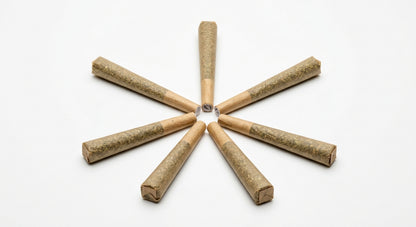 CBD Pre-Roll 5-Pack — fan