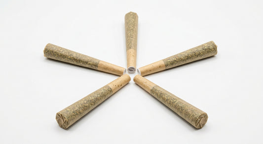 CBD Pre-Roll 5-Pack — fan