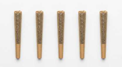 CBD Pre-Roll 5-Pack — hero