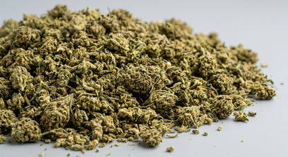 CBG Hemp Biomass — Wholesale | Extraction Grade | 8%+ CBG — wholesale-angle