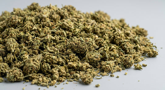 CBG Hemp Biomass — Wholesale | Extraction Grade | 8%+ CBG — wholesale-angle