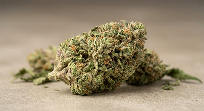 CBG + CBD Blend Flower — Focus & Calm | 3.5g – 28g — angle