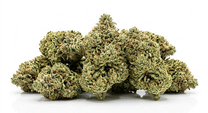 CBG + CBD Blend Flower — Focus & Calm | 3.5g – 28g — hero