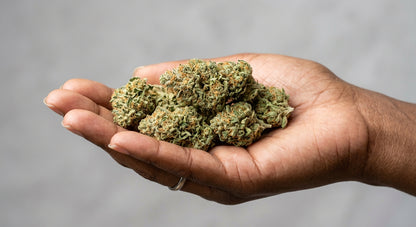 CBG + CBD Blend Flower — Focus & Calm | 3.5g – 28g — inhand