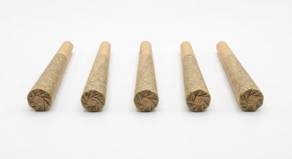 CBG + CBD Blend Pre-Roll 5-Pack — hero