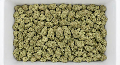 CBG Hemp Flower — bin