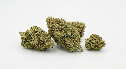 CBG Hemp Flower — buds