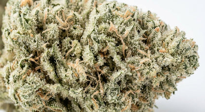 CBG Hemp Flower — macro