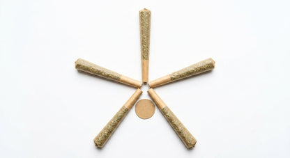 CBG Pre-Roll 5-Pack — fan