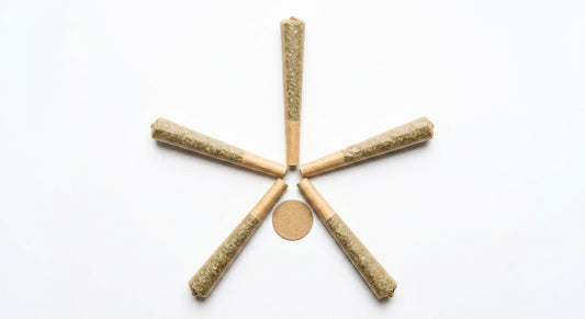 CBG Pre-Roll 5-Pack — fan