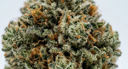 Cheetah CBD Hemp Flower — Premium | Lab Tested | 3.5g – 28g — closeup