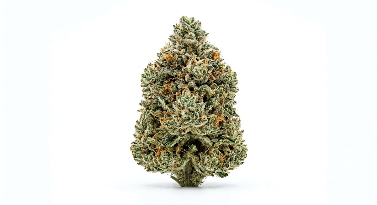 Cheetah CBD Hemp Flower — Premium | Lab Tested | 3.5g – 28g — hero