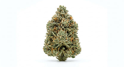 Cheetah CBD Hemp Flower — Premium | Lab Tested | 3.5g – 28g — hero
