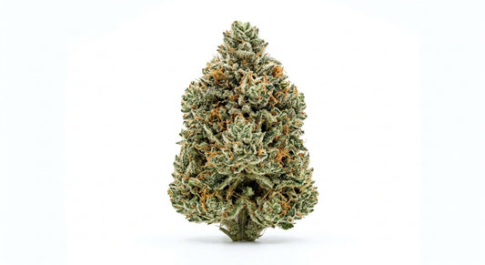 Cheetah CBD Hemp Flower — Premium | Lab Tested | 3.5g – 28g — hero