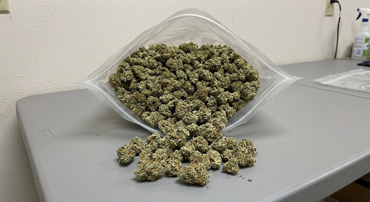 Cheetah CBD Hemp Flower — hero