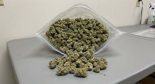 Cheetah CBD Hemp Flower — hero