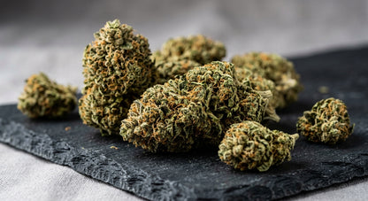 Citron CBD Hemp Flower — Indoor Grown | Premium | 3.5g – 28g — angle