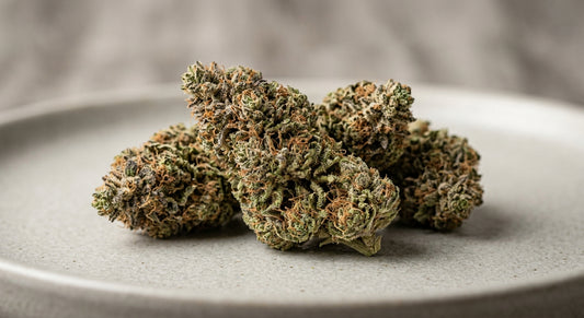 Cobbler CBD Hemp Flower — Indoor Grown | Premium | 3.5g – 28g — angle