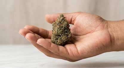 Cobbler CBD Hemp Flower — Indoor Grown | Premium | 3.5g – 28g — inhand