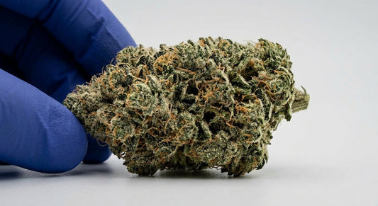 Cosmic Cookie CBD Hemp Flower — Premium | Lab Tested | 3.5g – 28g — angle