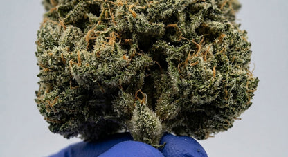 Cosmic Cookie CBD Hemp Flower — Premium | Lab Tested | 3.5g – 28g — closeup