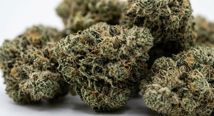 Cosmic Cookie CBD Hemp Flower — Premium | Wholesale Bulk | 1 lb – 5 lbs — wholesale-closeup
