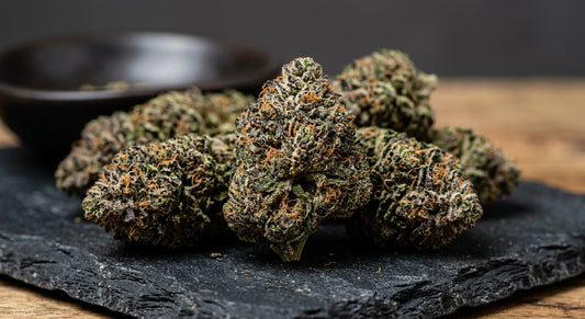 Critical Berry CBD Hemp Flower — Indoor Grown | Premium | 3.5g – 28g — angle