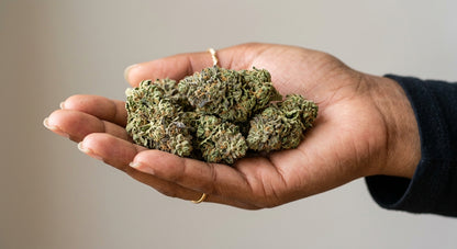 Critical Berry CBD Hemp Flower — Indoor Grown | Premium | 3.5g – 28g — inhand