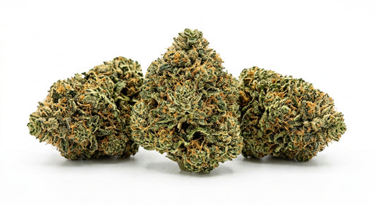Daiquiri Factory CBD Hemp Flower — Indoor Grown | Premium | 3.5g – 28g — hero