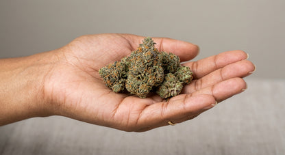 Diesel Puff CBD Hemp Flower — Indoor Grown | Premium | 3.5g – 28g — inhand