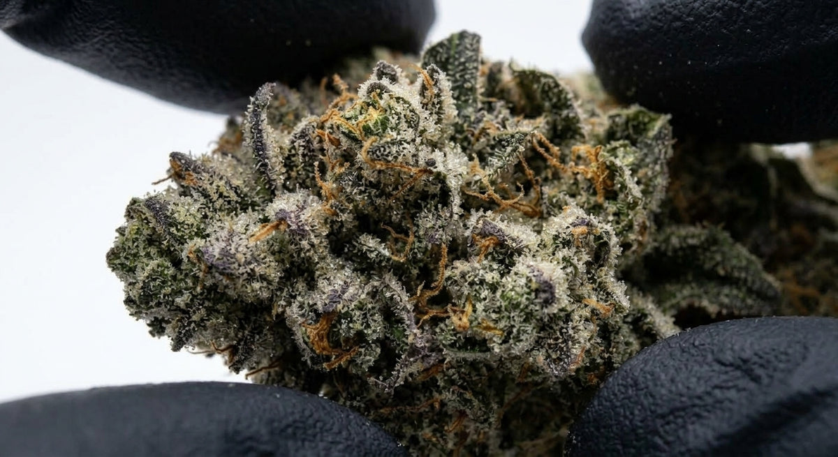 Don Dulce CBD Hemp Flower — Premium | Lab Tested | 3.5g – 28g — closeup