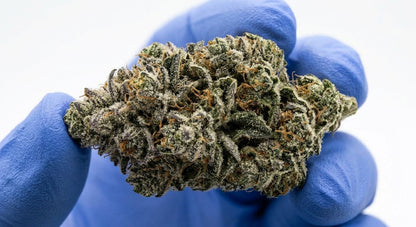 Don Dulce CBD Hemp Flower — Premium | Lab Tested | 3.5g – 28g — inhand
