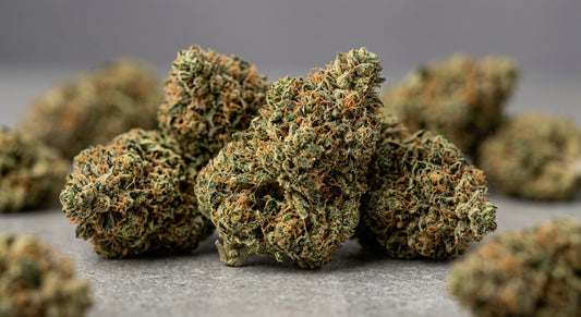 Elektra CBD Hemp Flower — Greenhouse Grown | Hand-Trimmed | 3.5g – 28g — angle