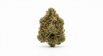 Elektra CBD Hemp Flower — Greenhouse Grown | Hand-Trimmed | 3.5g – 28g — hero
