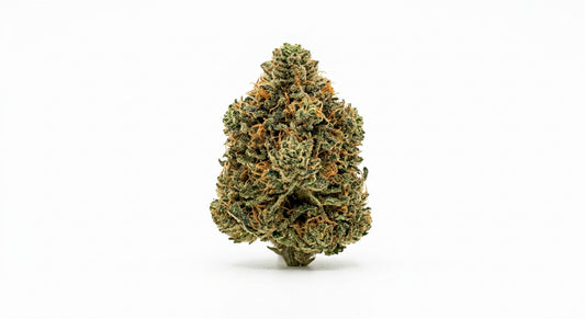 Elektra CBD Hemp Flower — Greenhouse Grown | Hand-Trimmed | 3.5g – 28g — hero