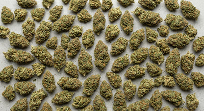 Elektra CBD Hemp Flower — Greenhouse Grown | Wholesale Bulk | 1 lb – 5 lbs — wholesale-spread